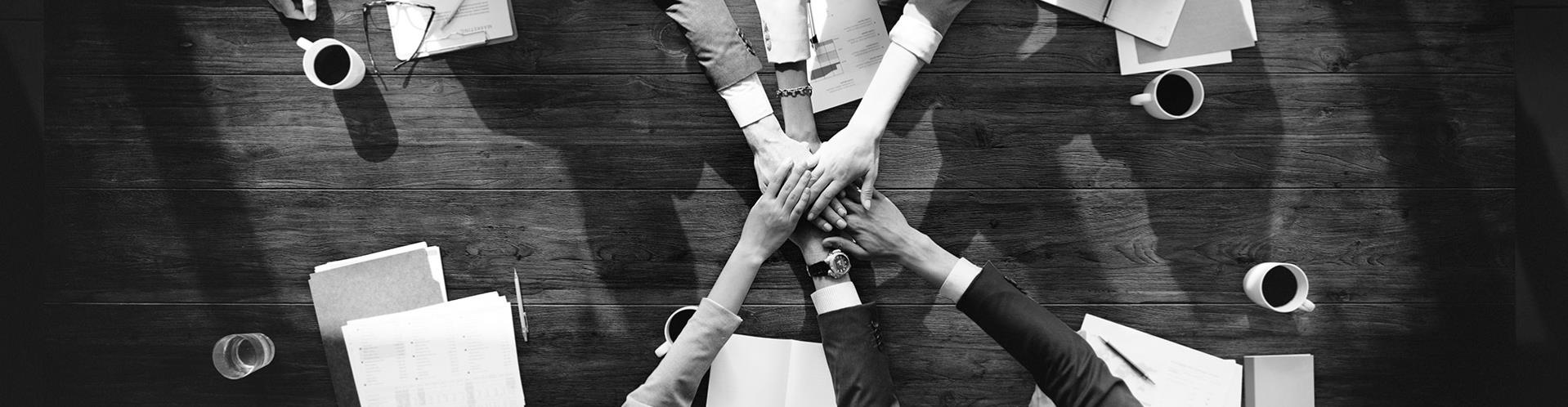 Yazılım Hizmetleri